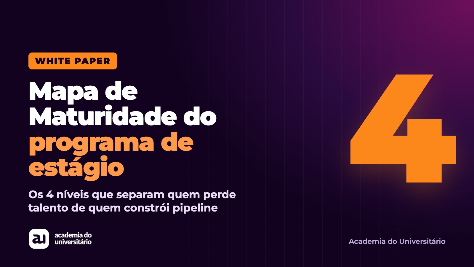 Mapa de Maturidade do Programa de Estágio